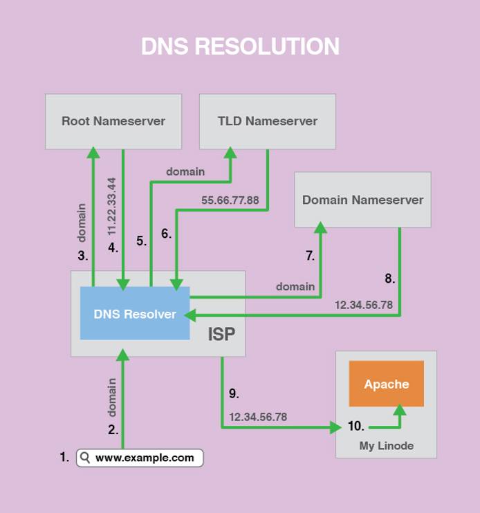 The steps for DNS resolution, also displayed below.