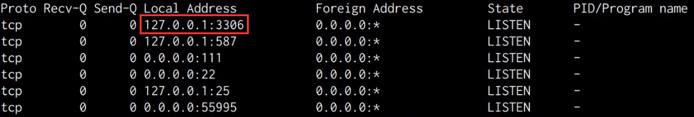 Raven VM netstat output